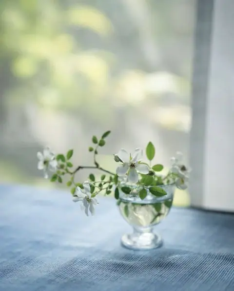 Đọc tính người qua Tứ Hóa: giả dối, ít lời, nóng nảy