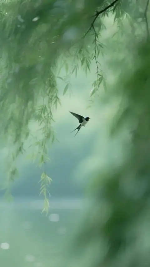 Bát học đường, mười kiểu mặt chữ, mười hai cung và dáng trán