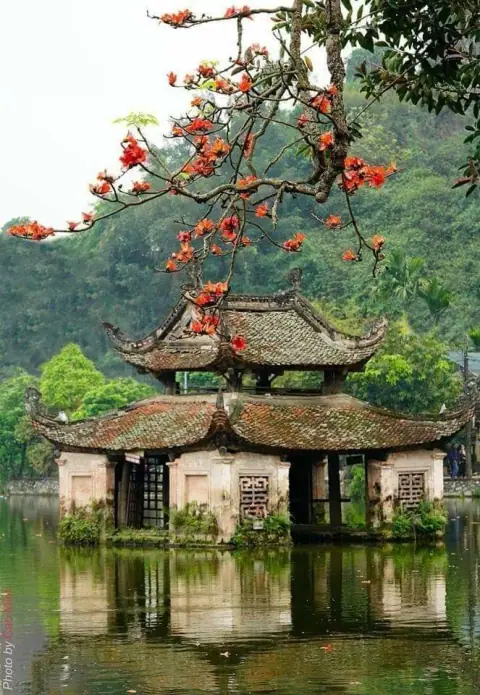 Tử cung xuất huyết, viêm phần phụ, u cơ tử cung hiện ở hào hai, hào ba