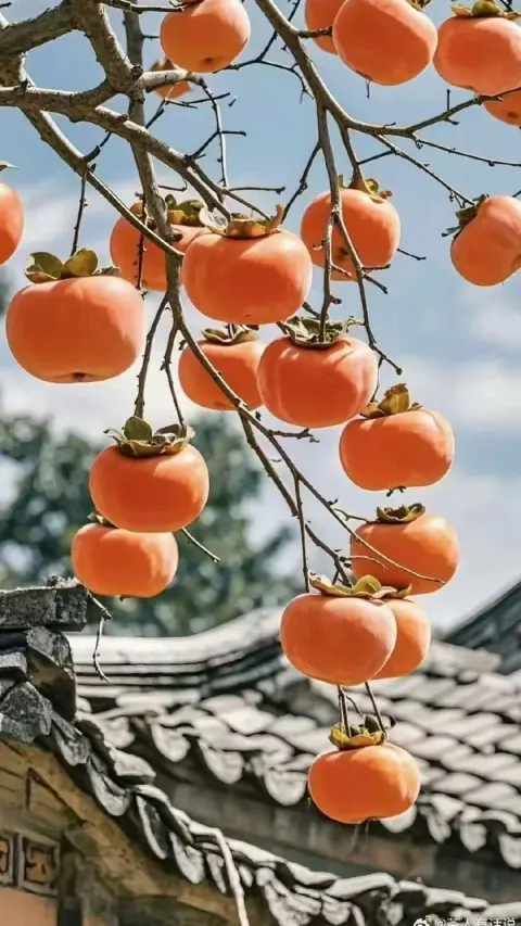 Cổng mở sai hướng, tai họa ứng vào từng người trong nhà