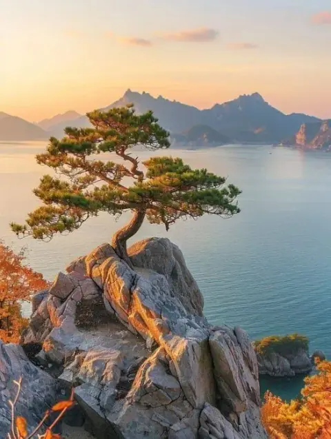Bếp, nhà xí, chia phòng, con đường, giếng, tháp và cầu